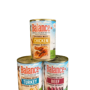 Balance Dog