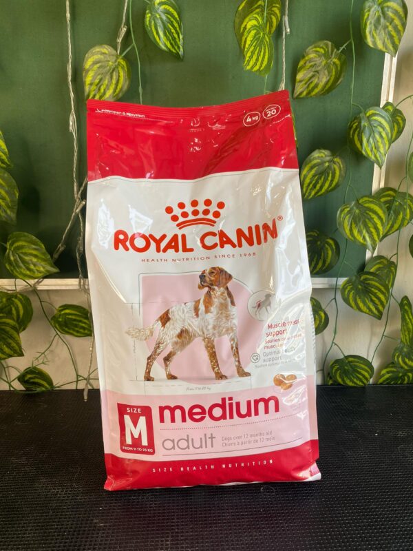 Royal canin medium