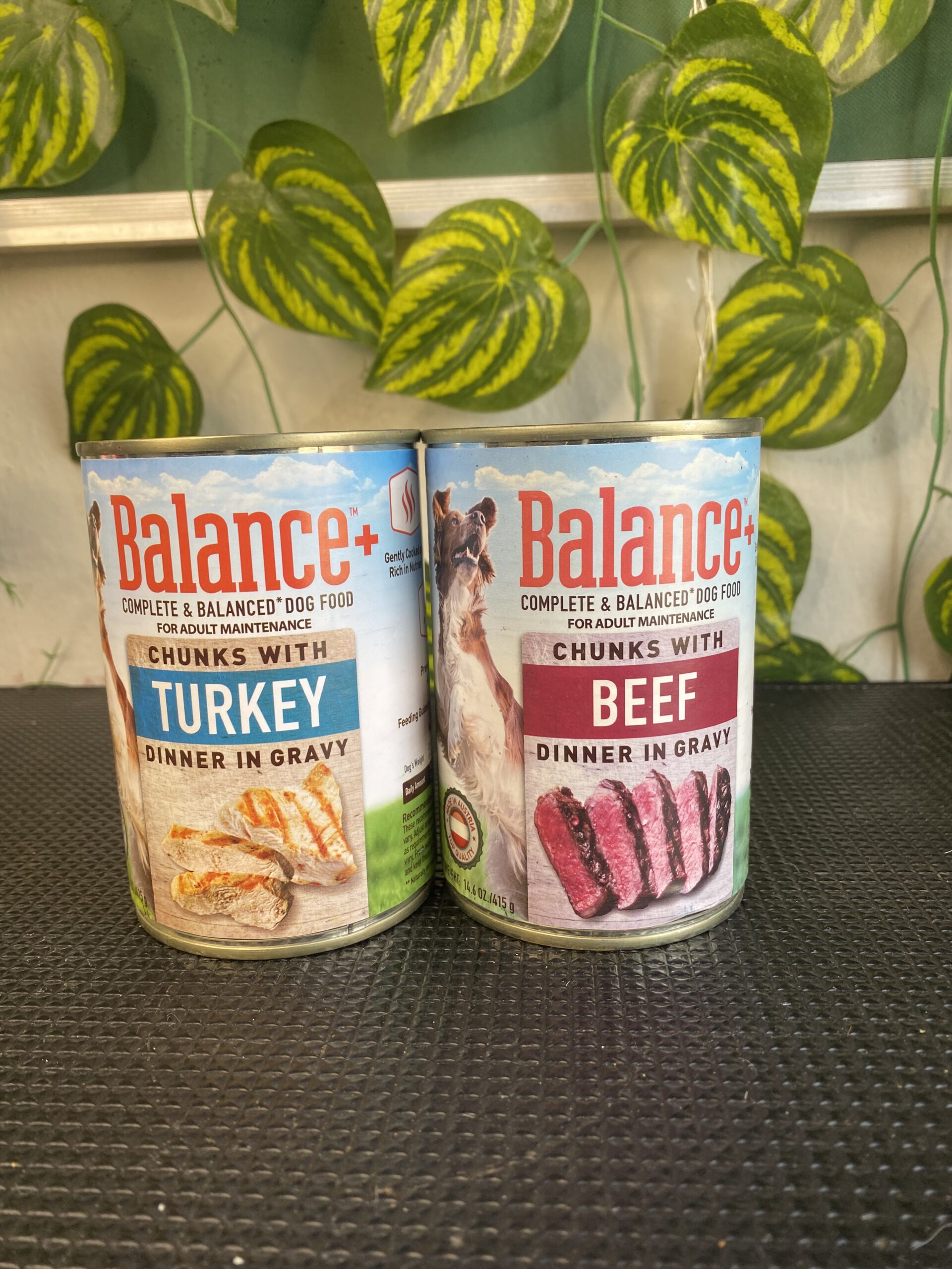 Balance Can Food Turkey