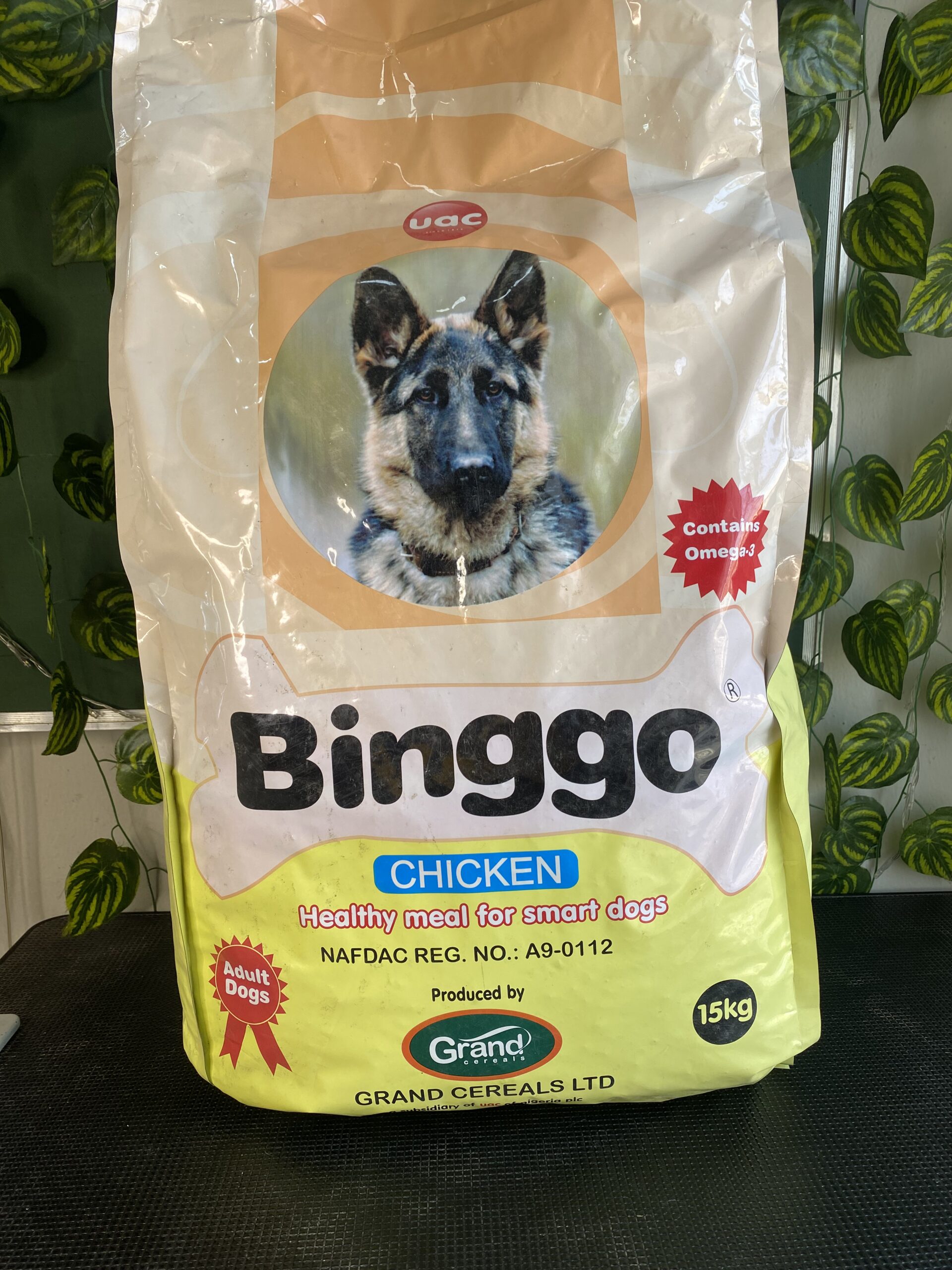 Bingo dog food