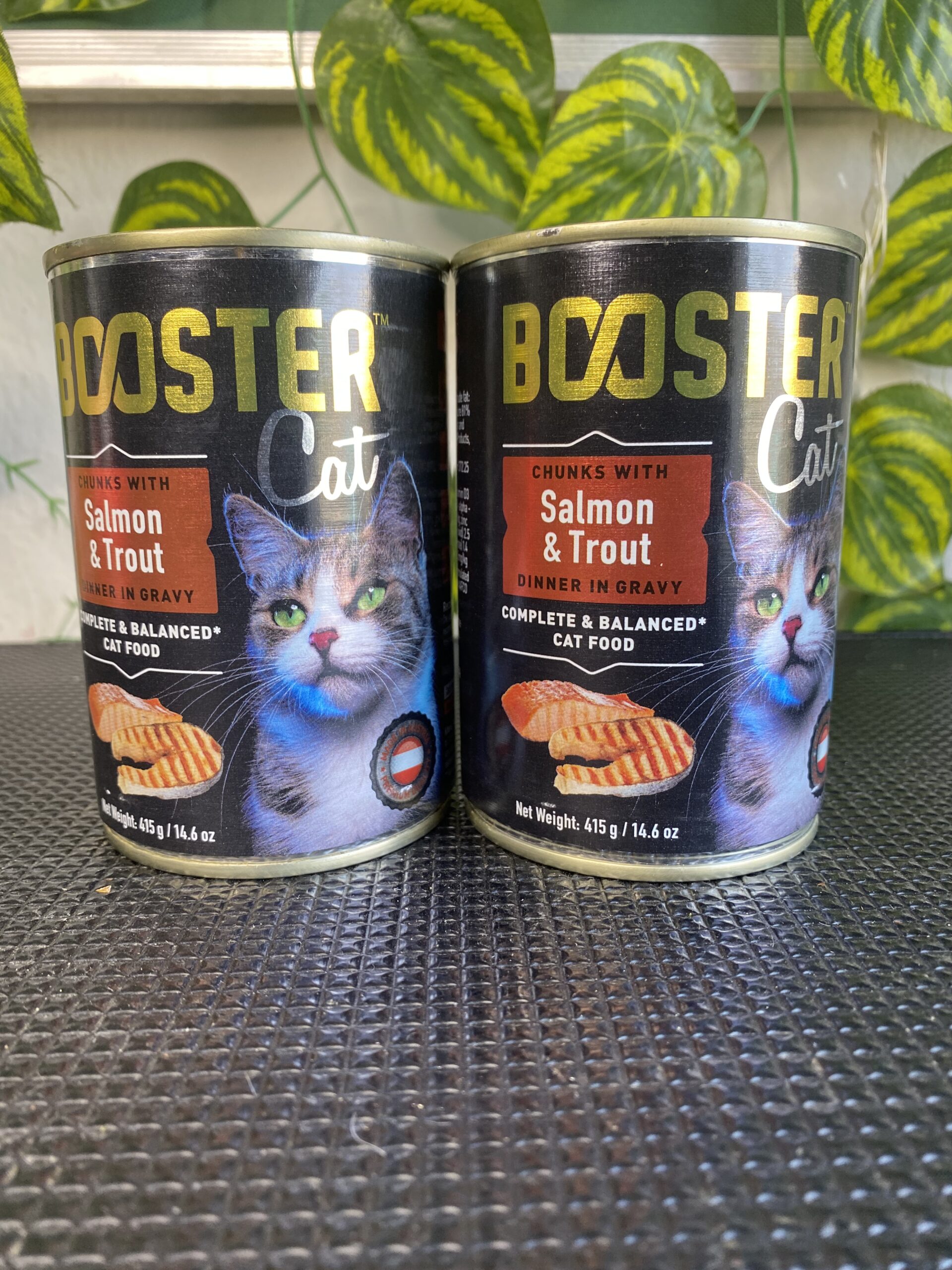 Booster Cat Chunks with Salmon & Trout
