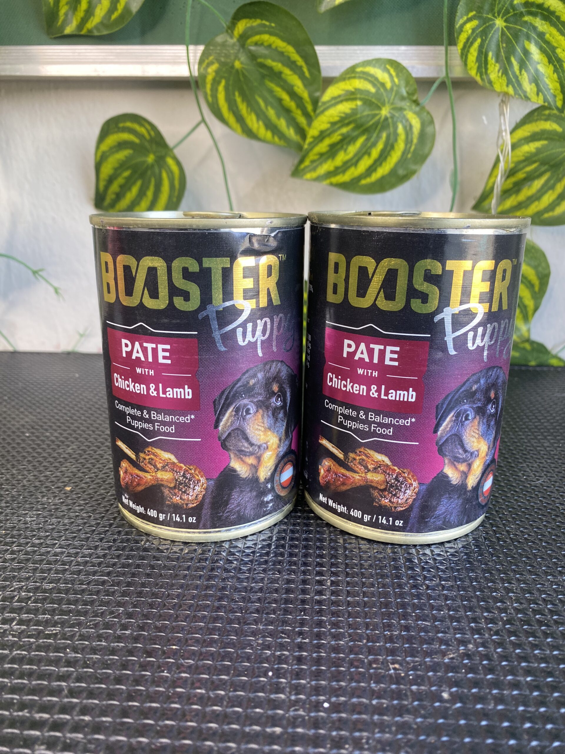 Booster Puppy Pate with Chicken & Lamb