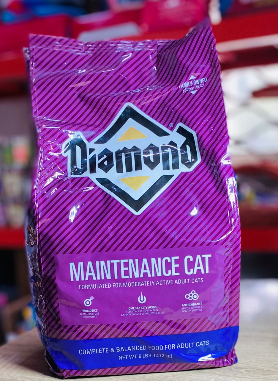 Diamond cat