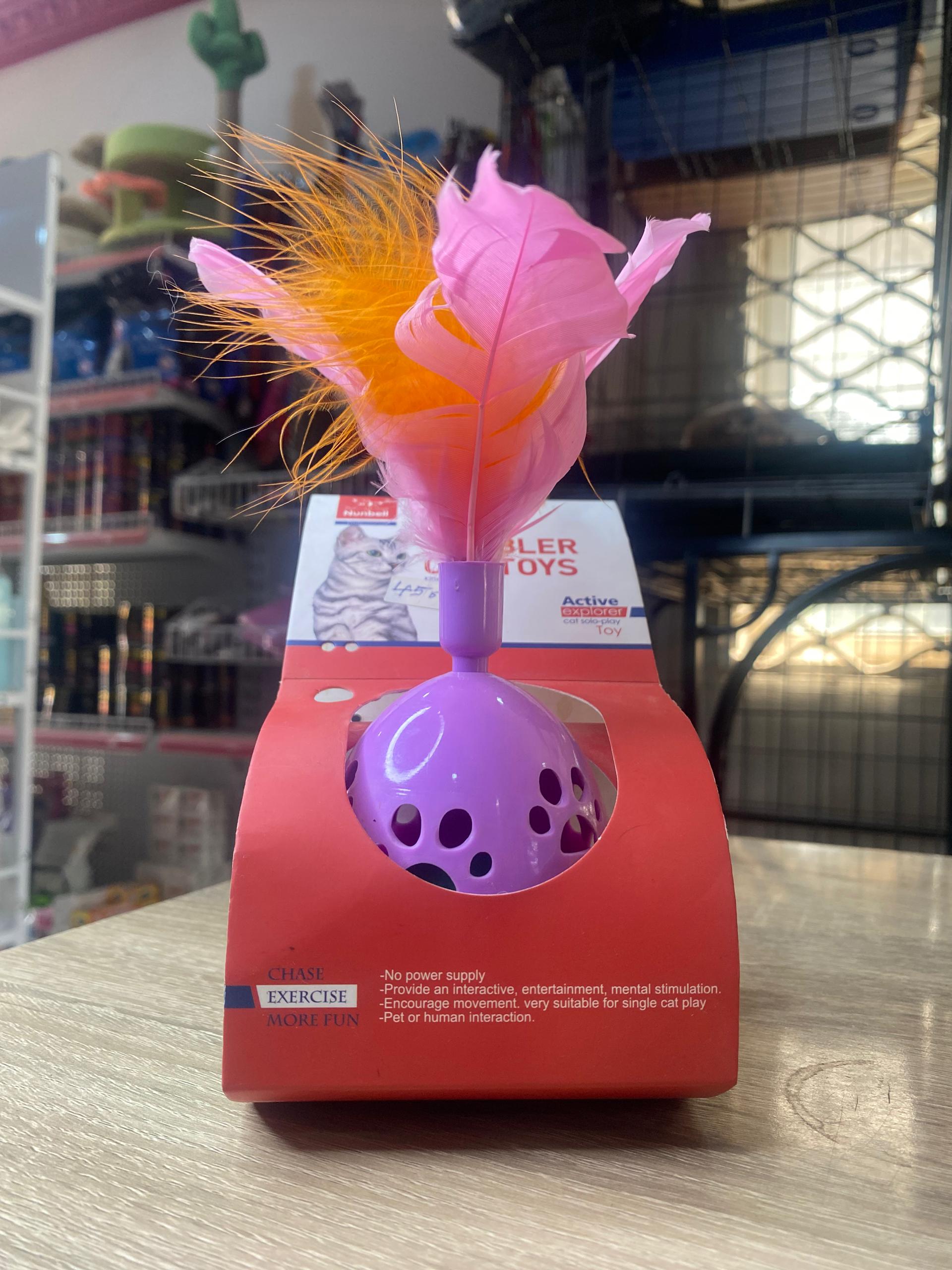 cat toy