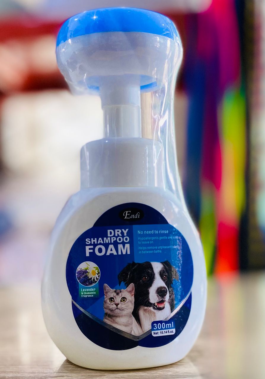 DRY FOAM SHAMPOO