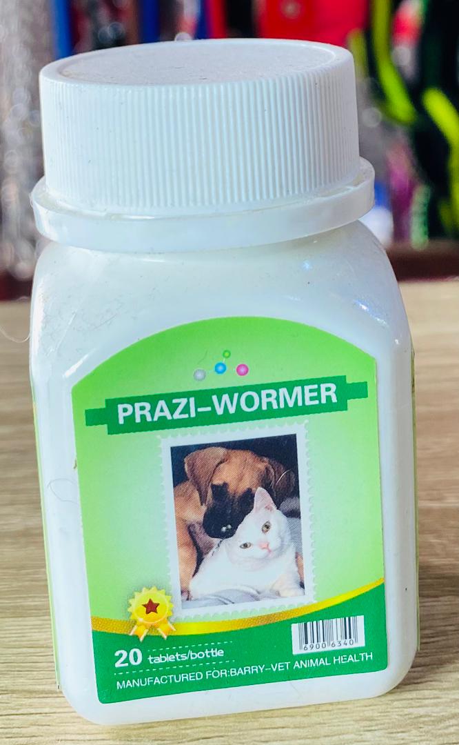 praziwormer